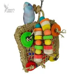 Nino's Java Forage Square Toy