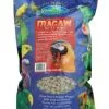 Vetafarm Macaw Nuts 2kg -Bird Food Sales Shop 380b2fb83a63b27ebe9c429a1b7e39e3.image .225x271