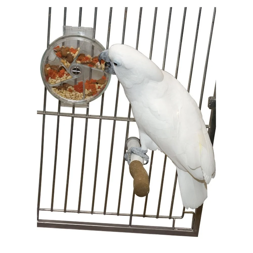 Featherland Paradise Foraging Wheel Bird Toy 4 Featherland Paradise Foraging Wheel Bird Toy - Image 2