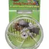 Featherland Paradise Foraging Wheel Bird Toy 2 Featherland Paradise Foraging Wheel Bird Toy -Bird Food Sales Shop 711085006138