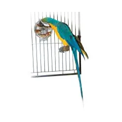 Featherland Paradise Foraging Wheel Bird Toy 7 Featherland Paradise Foraging Wheel Bird Toy -Bird Food Sales Shop 711085006138 2