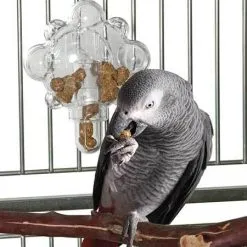 Featherland Paradise Foraging Food Tumbler 6 Featherland Paradise Foraging Food Tumbler -Bird Food Sales Shop 711085009078 1