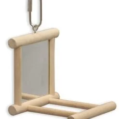 Kazoo Bird Mirror With Wood Perch