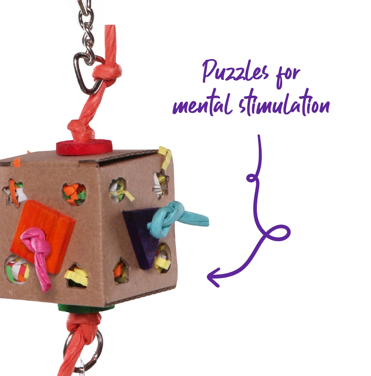 Kazoo Bird Activity Box With Bell Small 4 Kazoo Bird Activity Box With Bell Small - Image 2