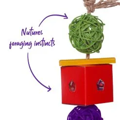 Kazoo Twin Ball & Cardboard Foraging Toy 8 Kazoo Twin Ball & Cardboard Foraging Toy -Bird Food Sales Shop 9342534145958 2