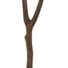 Premier Pet Natural Y-Shaped Bird Perch 20cm 1 Premier Pet Natural Y-Shaped Bird Perch 20cm -Bird Food Sales Shop 9342766086197