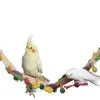 Feathered Friends Toy Forage & Play Ladder Large 2 Feathered Friends Toy Forage & Play Ladder Large -Bird Food Sales Shop 9343740005876