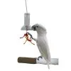 Featherland Paradise Foraging Capsule Bird Toy 48 X 11 X 11cm 2 Featherland Paradise Foraging Capsule Bird Toy 48 X 11 X 11cm -Bird Food Sales Shop 96 00612