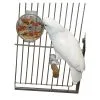 Featherland Paradise Paradise Foraging Wheel Bird Toy 17.5 X 15cm 2 Featherland Paradise Paradise Foraging Wheel Bird Toy 17.5 X 15cm -Bird Food Sales Shop 96 00613