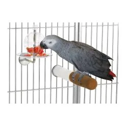 Featherland Paradise Buffet Ball Cage Mounted Bird Toy 17.5 X 15cm -Bird Food Sales Shop 96 00735 1