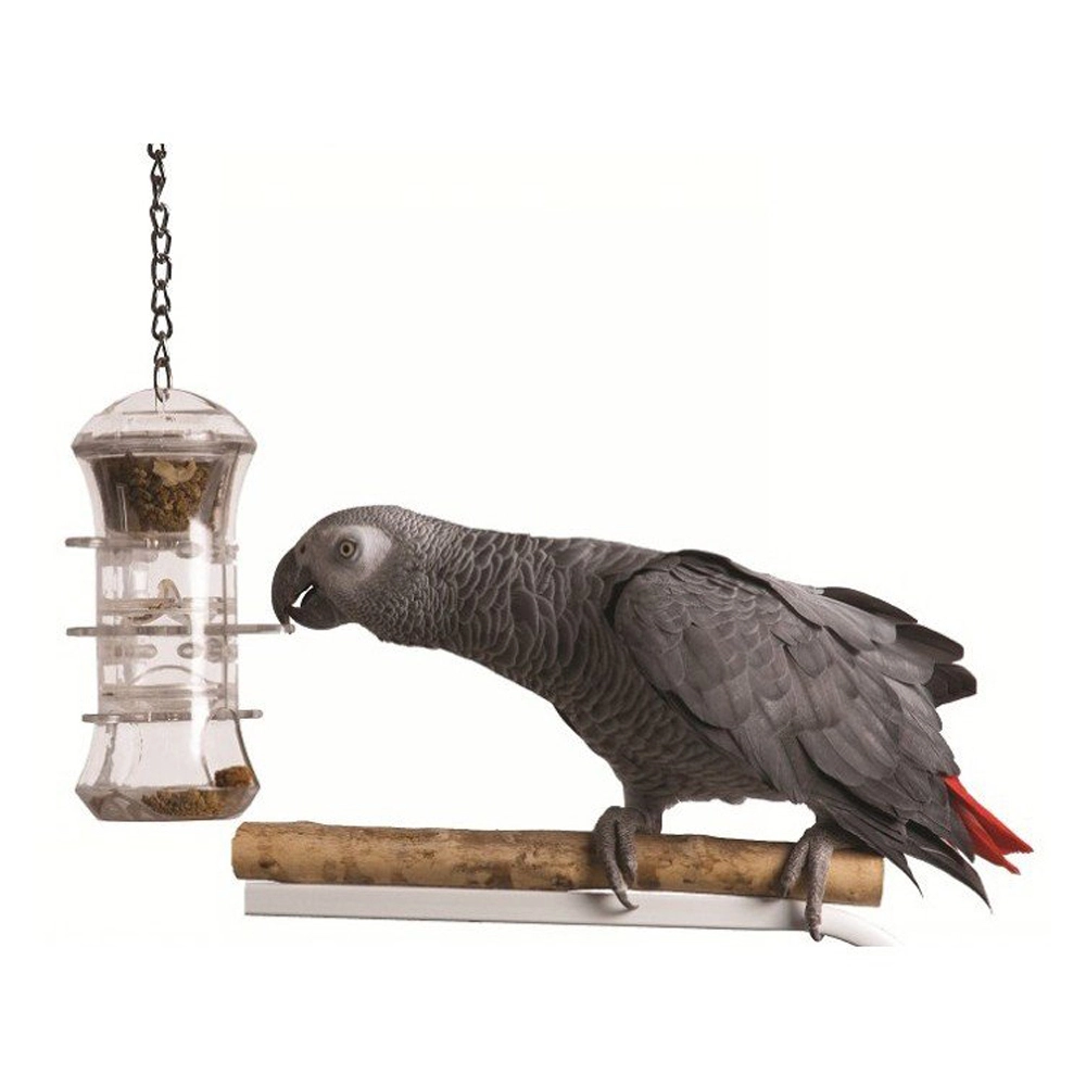 Featherland Paradise Push & Pull Foraging Bird Toy 35.5cm 4 Featherland Paradise Push & Pull Foraging Bird Toy 35.5cm - Image 2
