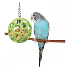 JW Pet Insight Activitoys Hol-ee Roller Treat Dispensing Bird Toy -Bird Food Sales Shop 98 31023 2