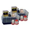 URS Chicken Starter Home Rearing Young Chickens Kit 2 URS Chicken Starter Home Rearing Young Chickens Kit -Bird Food Sales Shop B.CSKIT