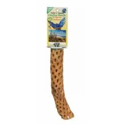 Pollys Pet Cholla Cactus Sun Dried Bird Perch Small 15cm -Bird Food Sales Shop PS 0715
